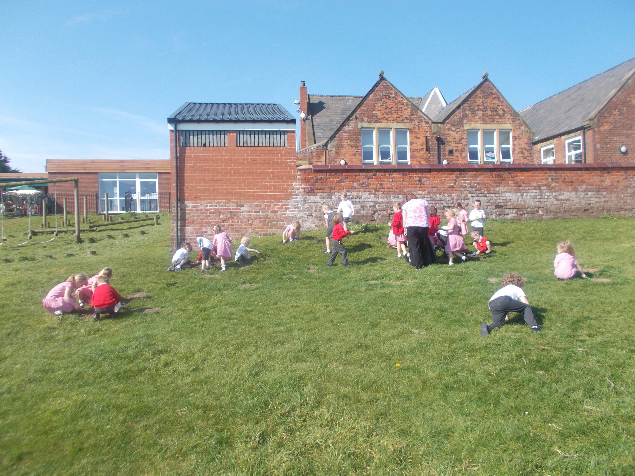 Image of Insect spotting and mud collecting